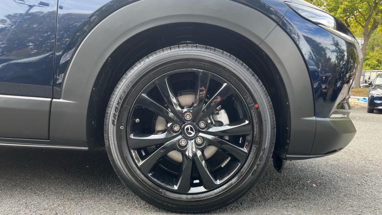 Mazda CX-30 2.5 e-Skyactiv G MHEV [140] Homura 5dr Auto Petrol Hatchback